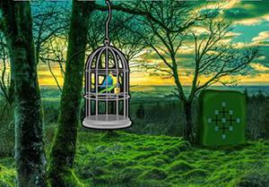 play Mountain Valley Parrot Escape