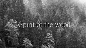play Spirit Of The Wood