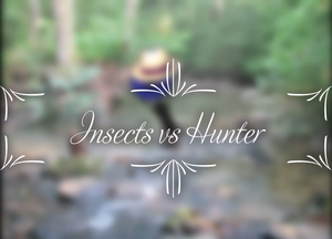 play Insects Vs Hunter