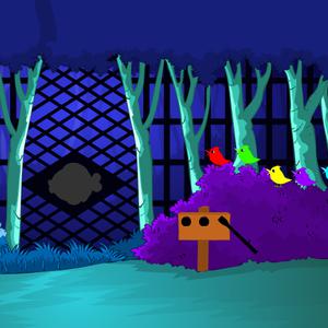 play Mysterious Forest Escape