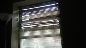 play Window Of Opportunity
