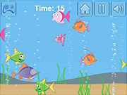 play Fish Survival