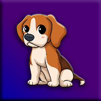 G2J Beagle Puppy Escape