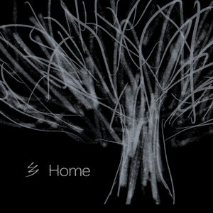 play Home