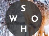 play Word Wonders