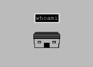 play Whoami