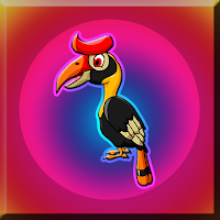 G2J Helmeted Hornbill Escape