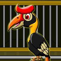 play G2J Helmeted Hornbill Escape