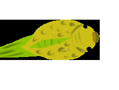 play Need For Seed