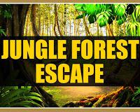 play Jungle Forest Escape