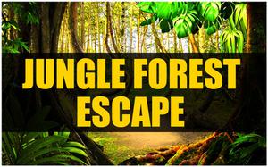 play Mirchi-Jungle-Forest-Escape