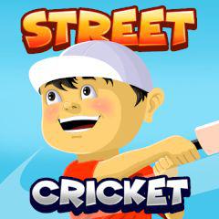 play Street Cricket