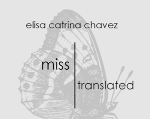 play Miss Translated Interactive