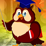 play Graduate Owl Escape