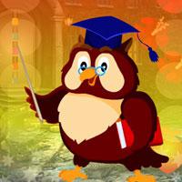 play Graduate Owl Escape