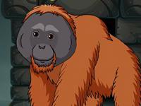 play The Orangutan Escape