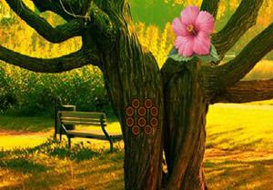 play Trunk Tree Forest Escape