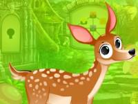 play Gorgeous Deer Escape