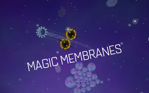 play Magic Membranes