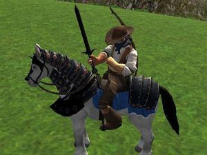 play Reiten Simulator