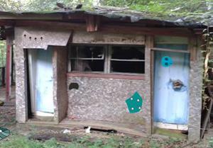 play Abandoned House In Wood Escape