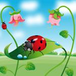play Flower-Bugs