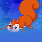 play Roguish Squirrel Escape