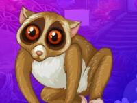 play Slender Loris Escape