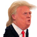 play Trump Clicker