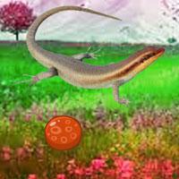 play Skink Mountain Escape