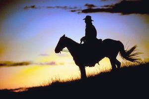 play Cowboy On A Search