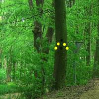 play Growth Tree Forest Escape