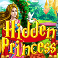 play Hidden Princess