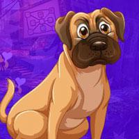 play Labrador Retriever Escape