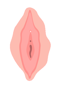 play Dick Goes Into The Pussy Concept