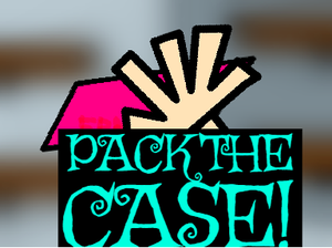 play Pack The Case