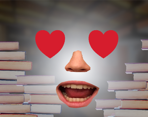 play Bookshelf Lover