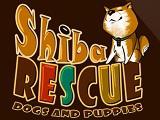 play Shiba Rescue Dogs And Puppies