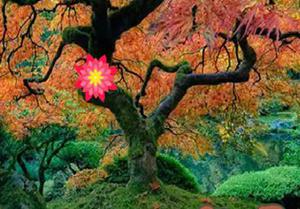 play Deciduous Garden Escape