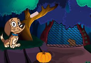 play Rescue The Grizzly Bear