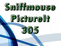 play Pictureit 305