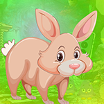 play Burly Rabbit Escape