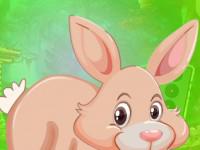 play Burly Rabbit Escape