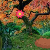 play Deciduous-Garden-Escape