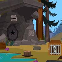 play G4Ewhite Tiger Escape