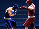 play Punchers Boxing