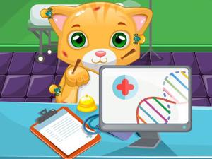 play Cat Doctor Sim