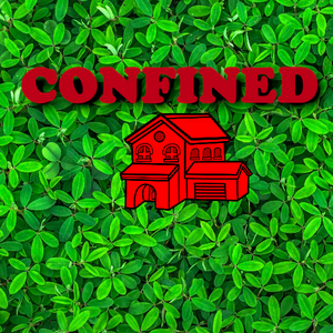 play Confined