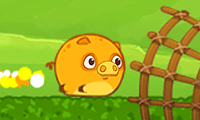 Mango Piggy Piggy: Farm Harvest