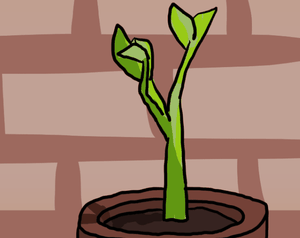 play Goodbye, Plant